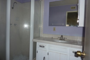 Purple bathroom, before.