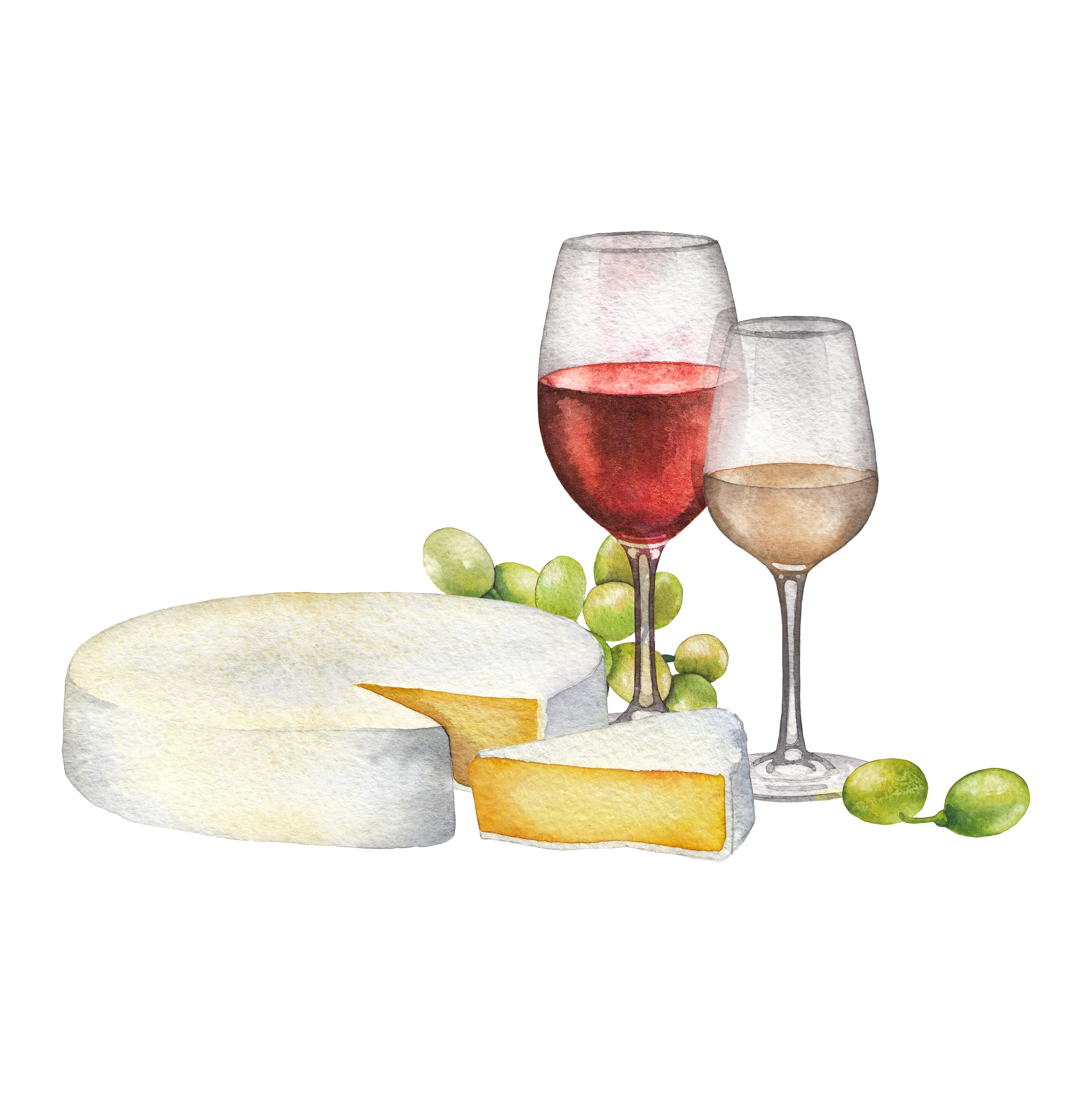 Вино и сыр акварель